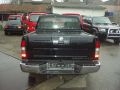     Navara Pick Up 05 