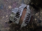  3140084E01  Suzuki Swift 3D 06-11 