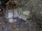    4M56-6675-FG (QQDB) 1.8  Ford C-Max 03-07 