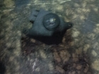      M030990Q  Renault Scenic 03-06 (1) 