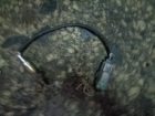    0258005261  Nissan Micra 00-03 (1) 