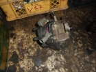   7+2Pin 30100P1KE01  Honda Civic 96-00 sdn 