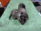    Hyundai Accent SDN 02-05, Hyundai Getz 3D 02-05, Hyundai Matrix 01-05 36100-27510 