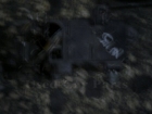    Nissan Almera 95-00 (10) 