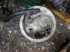     Alfa Romeo Alfa Romeo 145 95-98 (2) 