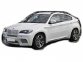     Bmw X6 M 09- 