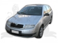     Fabia Wagon 99-05 