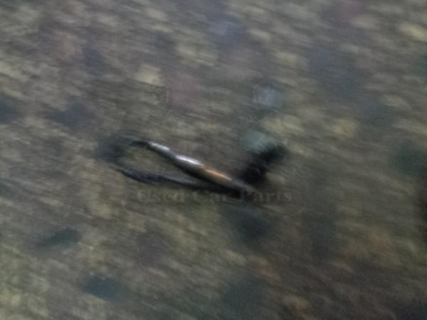    0281004079  Bmw Mini 06> (1) 