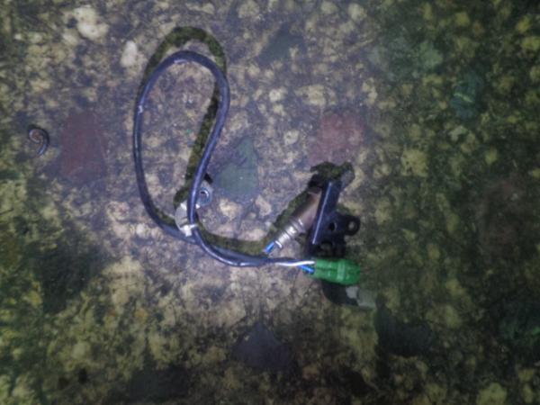    1491009052  Suzuki Swift 3D 06-11 (6) 