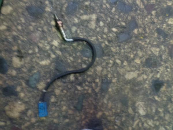    7548961  Peugeot 207 cabrio 06-10 (3) 