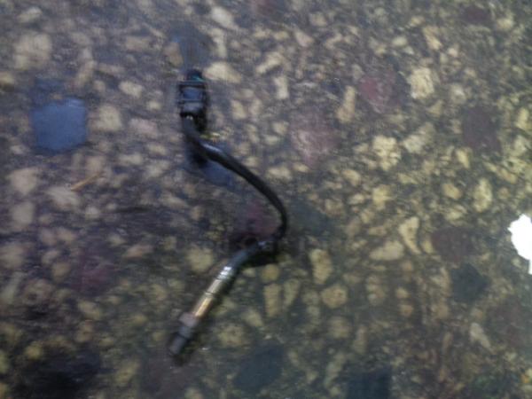    0281004411  Toyota Auris 07> (3) 