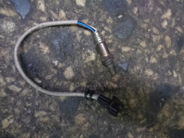    1491009251  Suzuki SX4 06- 