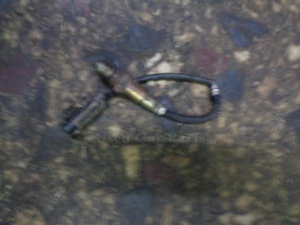    0258006295  Renault Clio 98-01 (3) 