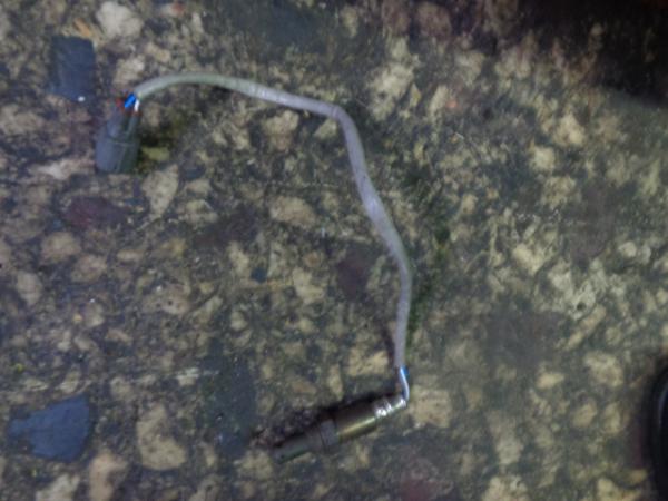    89467-28010  Toyota RAV 4 05> (1) 