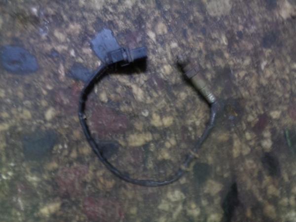    03C906262AF  Volkswagen Passat 05-10 (8) 