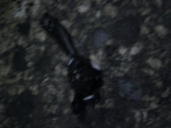   -  Seat Altea 04-09 (14) 