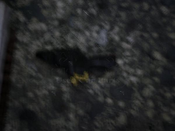   - 86AG13B302AA  Ford Escort hatch 86-89 (41) 