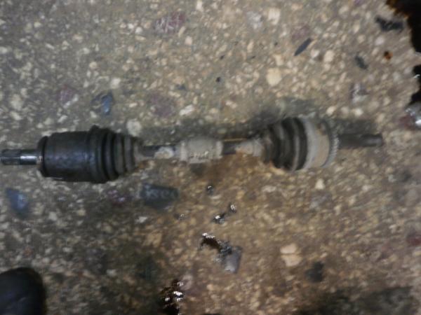      Nissan Primera P11 99-02 (1) 