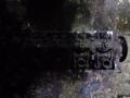    (D16) Injection   Honda Civic 1997 