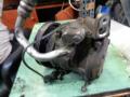   AIRCONDITION 1204001109  Kia Shuma 97> 