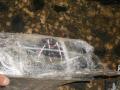  CD 8701A239  Mitsubishi Colt CZ3 06- (N5) 