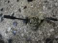   -  Nissan Pick up D21 85-88 
