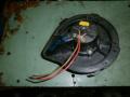     Seat Toledo 95-98  (33) 