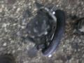   AIRCONDITION  Renault Megane I Berlina 96-99 