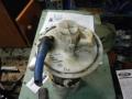        Fiat Brava 95-99, Fiat Bravo 95-07 (19) 