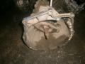    Bmw  3 E36 sdn 95-98, Bmw  3 E36 SW 95-98 
